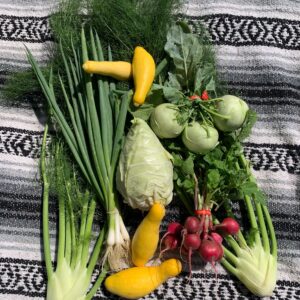 Spring 2026 CSA Subscription - Image 2