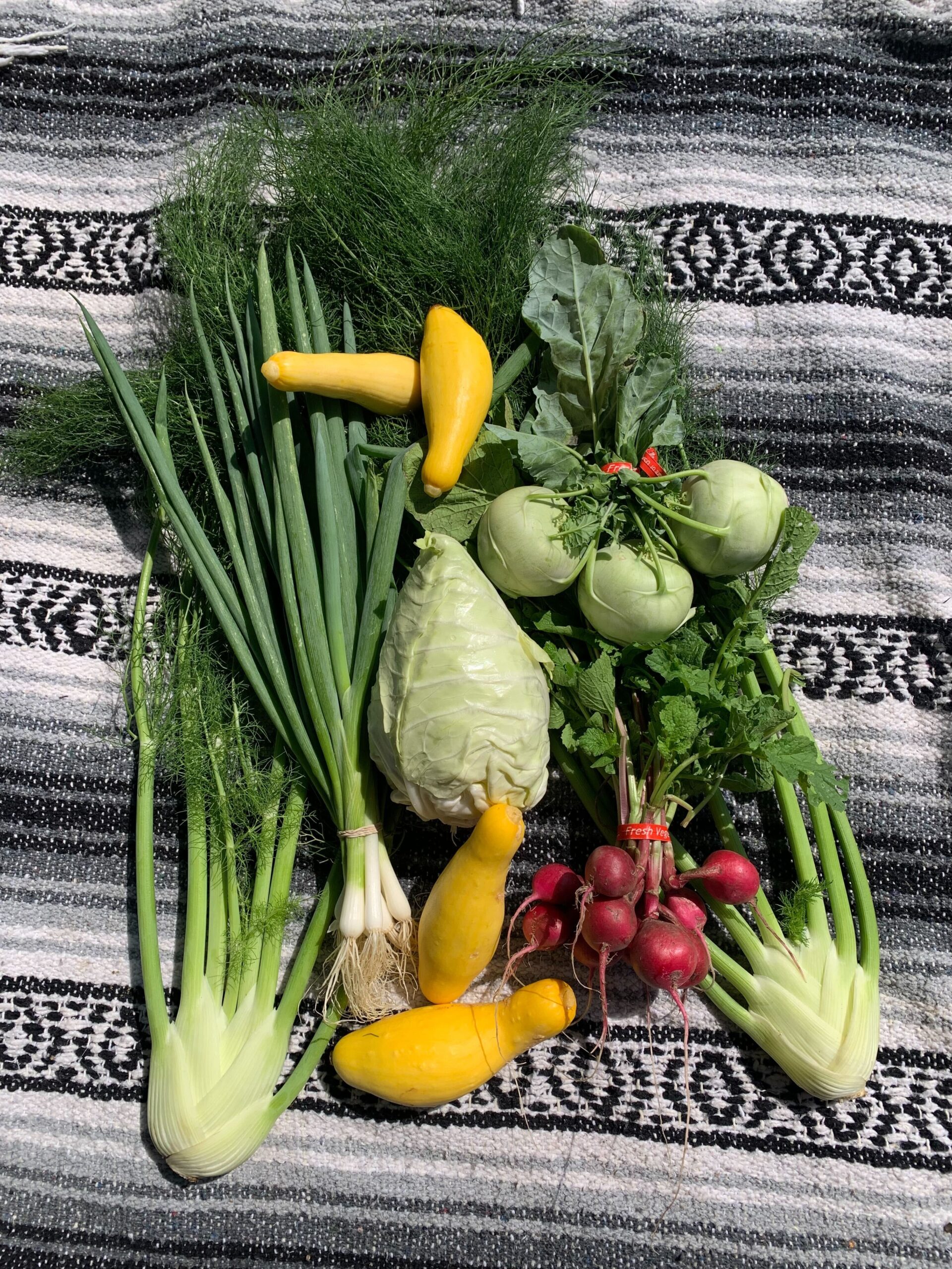 Spring 2026 CSA Subscription