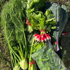 Spring 2026 CSA Subscription - Image 1