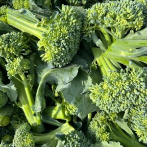 Spring 2026 CSA Subscription - Image 4